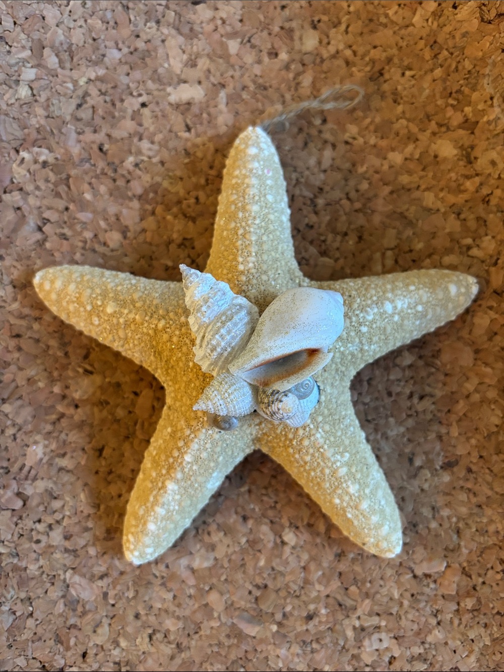 Hand Crafted Sugar Starfish Ornament with Small Shells